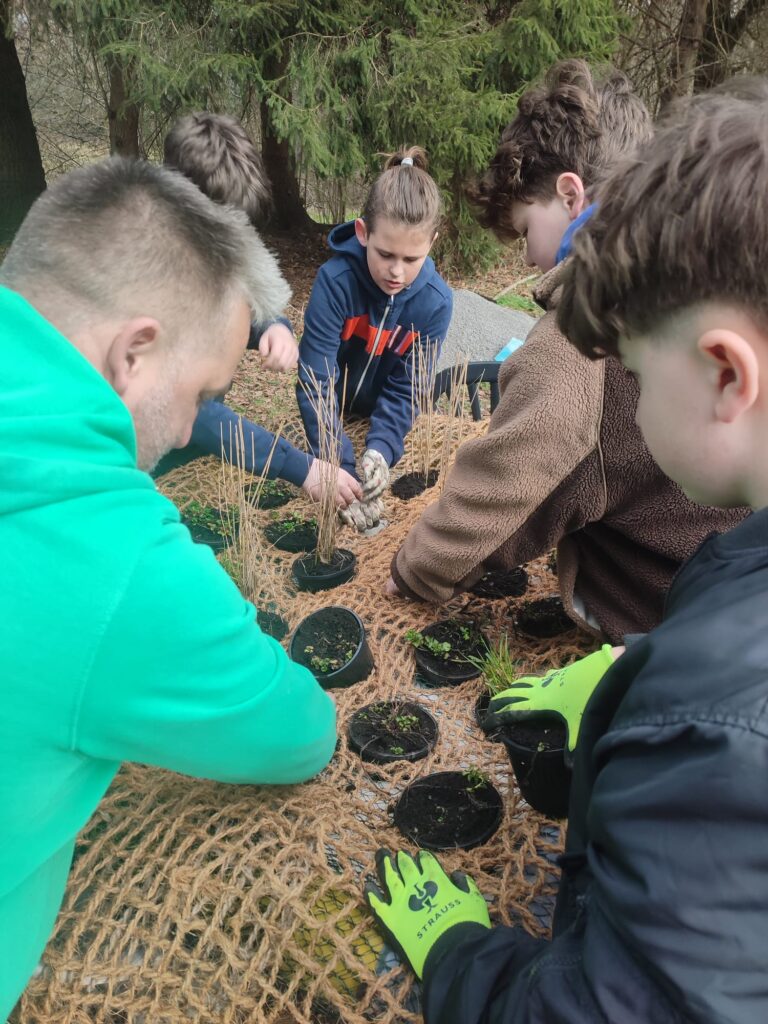 schwimminsel2 Schwimminsel